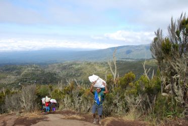 Ciężka praca tragarzy na szlaku Machame Route-Kilmanjaro 2011 r
