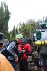 Na szlaku Machame Route-Kilimanjaro 2011