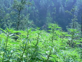 Maryśka na himalajskim szlaku