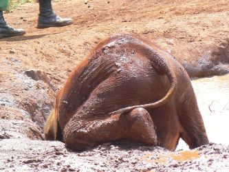 Zanim będziesz wielki